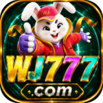Foto del perfil de wj777