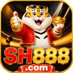 Foto del perfil de sh888