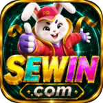 Foto del perfil de sewin
