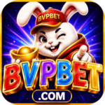 Foto del perfil de bvpbet
