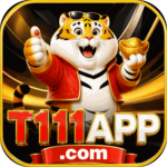 Foto del perfil de t111app