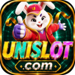 Foto del perfil de unislot