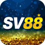 Foto del perfil de sv88
