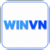 Foto del perfil de winvn