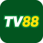 Foto del perfil de tv3010