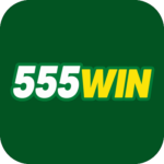 Foto del perfil de u555win