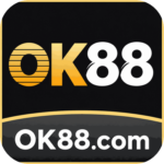 Foto del perfil de ok88