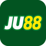 Foto del perfil de ju88