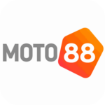 Foto del perfil de moto88