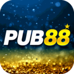 Foto del perfil de pub9479