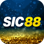 Foto del perfil de sic88