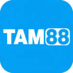 Foto del perfil de tam88