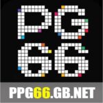 Foto del perfil de ppg66gbnet
