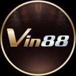 Foto del perfil de vin4743