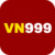 Foto del perfil de vn999