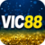 Foto del perfil de vic88