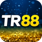 Foto del perfil de tr4418