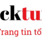 Foto del perfil de Blackturtle io