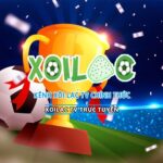 Foto del perfil de Xoilac 365 Trực Tiếp Bóng Đá