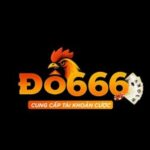 Foto del perfil de 888VND Itcom