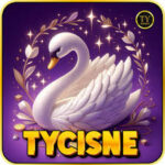 Foto del perfil de tycisne