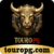 Foto del perfil de touropg