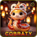 Foto del perfil de cobraty
