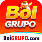 Foto del perfil de boigrupo