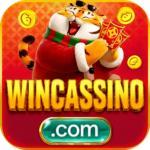 Foto del perfil de wincassino