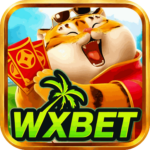 Foto del perfil de wxbet