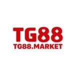Foto del perfil de TG88