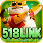Foto del perfil de u518link