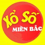Foto del perfil de Xổ Số Đại Phát