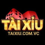 Foto del perfil de Tài Xỉu