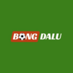 Foto del perfil de Bongdalu