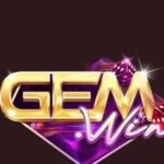 Foto del perfil de GEMWIN
