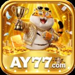 Foto del perfil de ay77