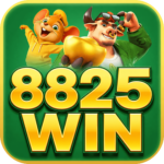 Foto del perfil de u8825win