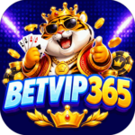 Foto del perfil de betvip365