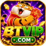 Foto del perfil de btvip