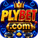 Foto del perfil de plybet
