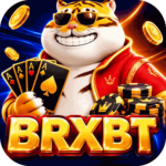 Foto del perfil de brxbt