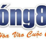 Foto del perfil de Nhà Cái Bong88