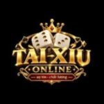 Foto del perfil de taixiuonline link