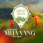 Foto del perfil de MediTours