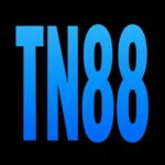 Foto del perfil de tn 88