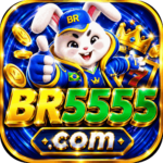 Foto del perfil de br5555