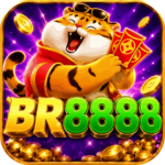 Foto del perfil de br8888