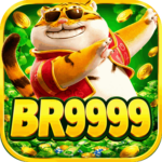 Foto del perfil de br9999