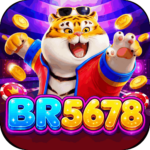 Foto del perfil de br5678